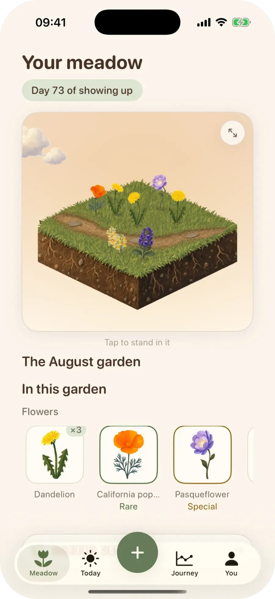The Meadow app on a phone: Your meadow, Day 73 of showing up, an isometric square of grass dotted with wildflowers, and the flowers collected in the August garden — dandelion, California poppy, pasqueflower
