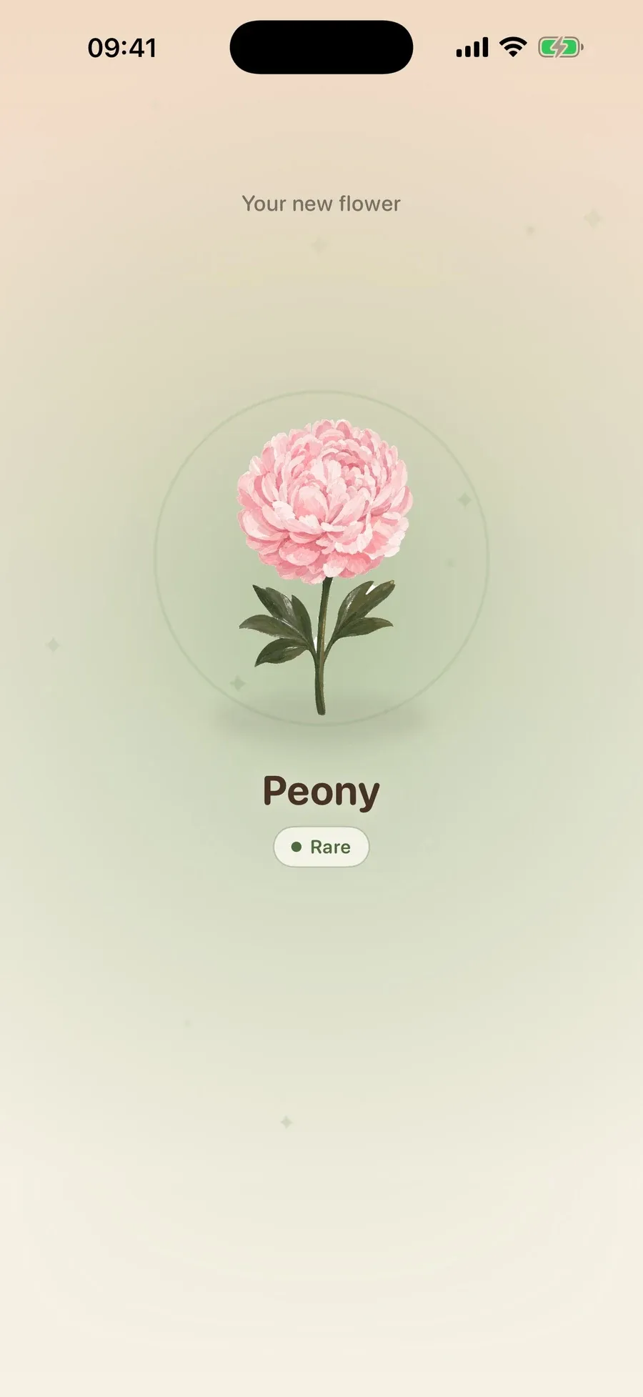 Meadow&rsquo;s new-flower screen: &ldquo;Your new flower&rdquo;, a pink peony marked Rare