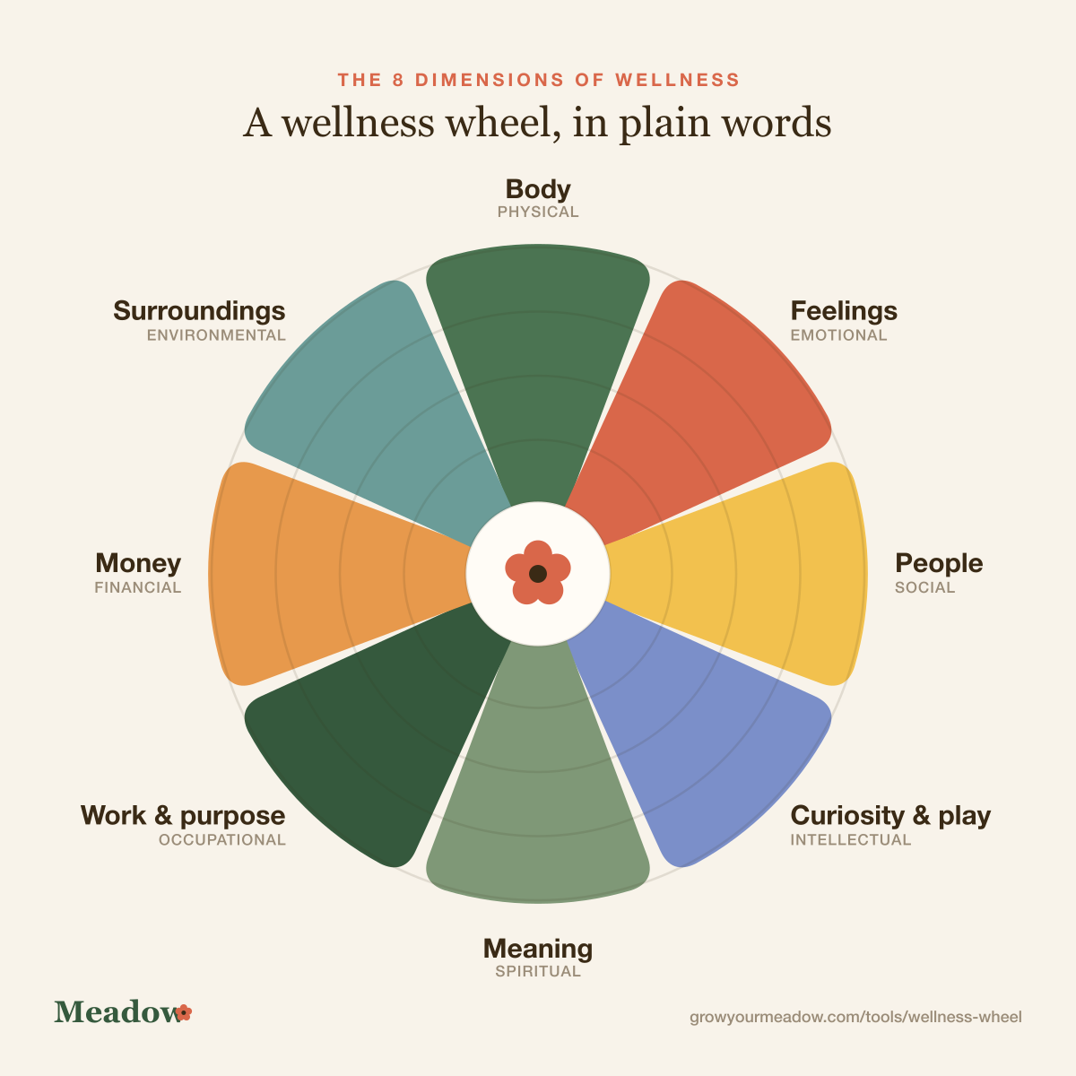 Wellness wheel showing the 8 dimensions of wellness: physical, emotional, social, intellectual, spiritual, occupational, financial and environmental